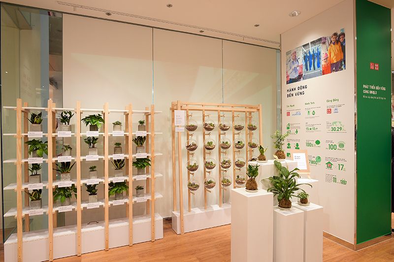 UNIQLO Việt Nam Trạm kết nối cây xanh